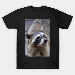 Beautiful Raccoon Print T-Shirt